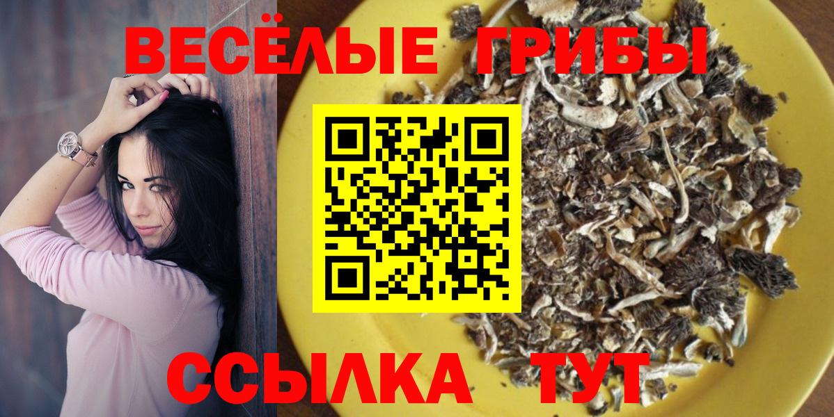 Псилоцибиновые грибы мухоморы Миасс